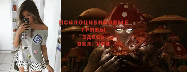 мет Бородино