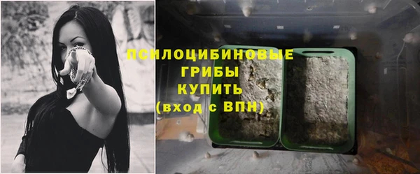 молекула духа Бугульма
