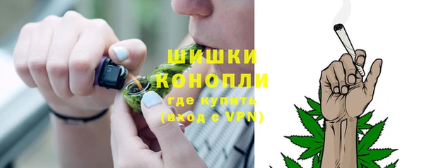 хмурый Осинники