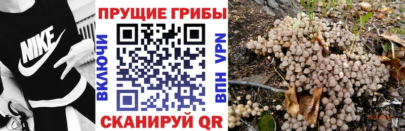 Псилоцибиновые грибы Cubensis  наркошоп  Сочи 